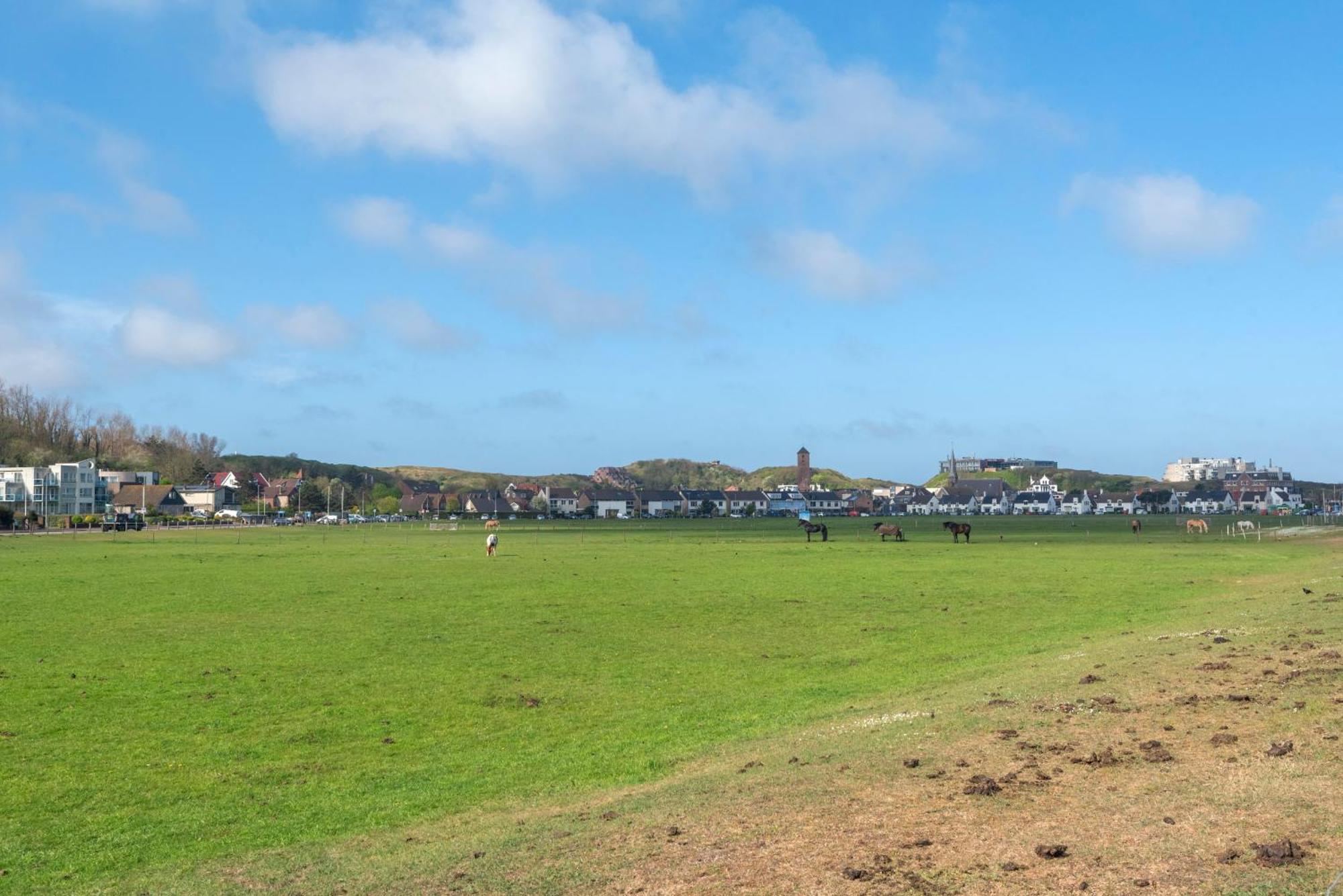 Apartmán Wijkiki Surf House Wijk aan Zee Exteriér fotografie